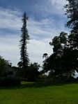 Grounds of Tedeschi Winery
